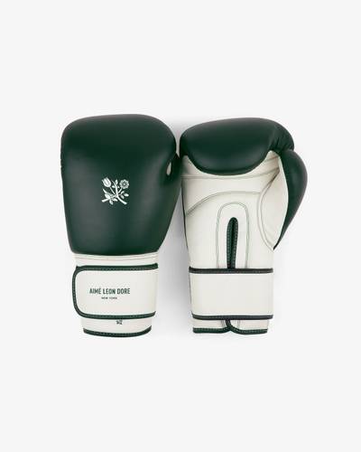 Premium Leather Boxing Gloves