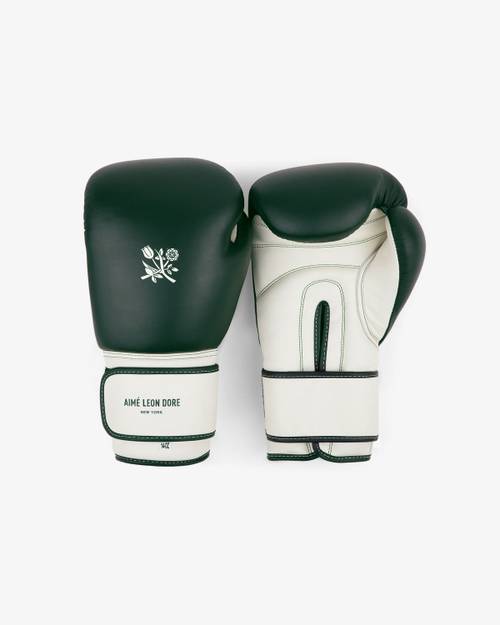 Premium Leather Boxing Gloves