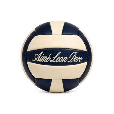 Luxury Leather Volleyball