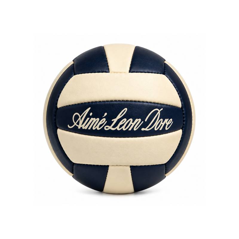 Luxury Leather Volleyball