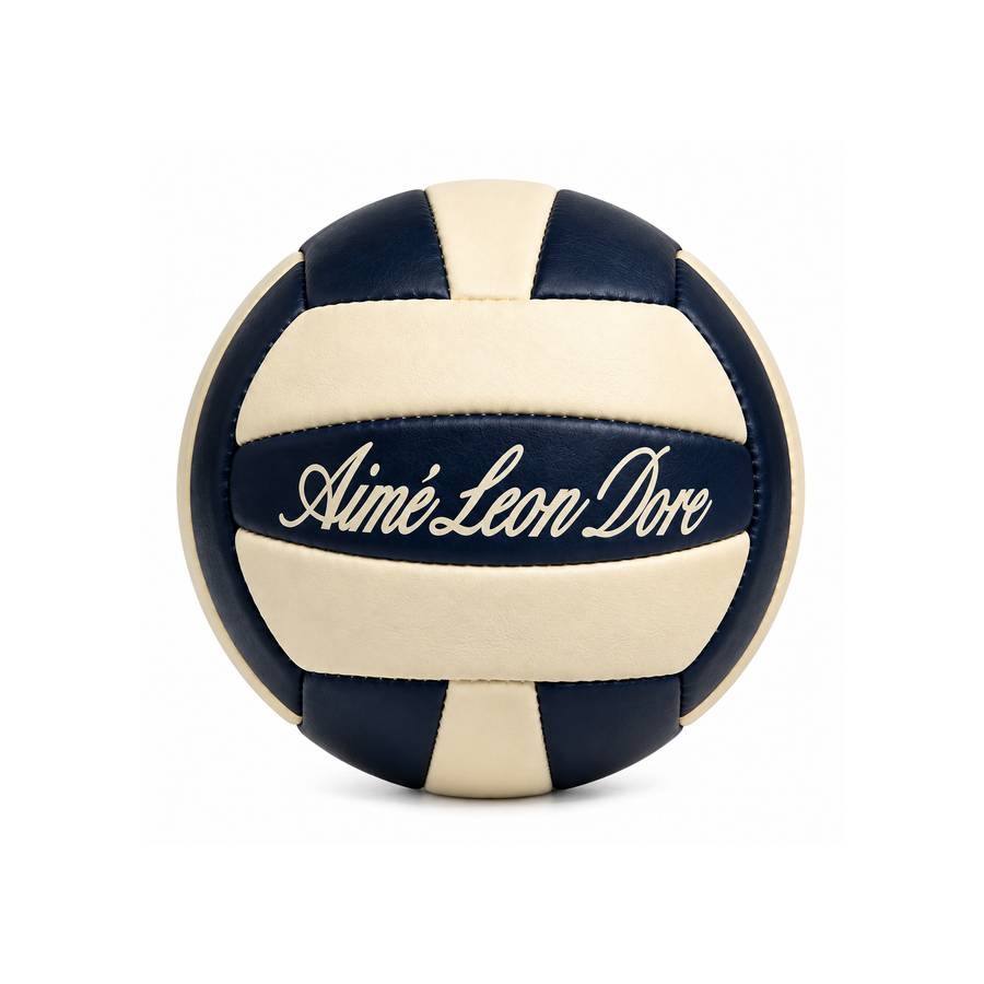 Luxury leather volleyball in club colourway