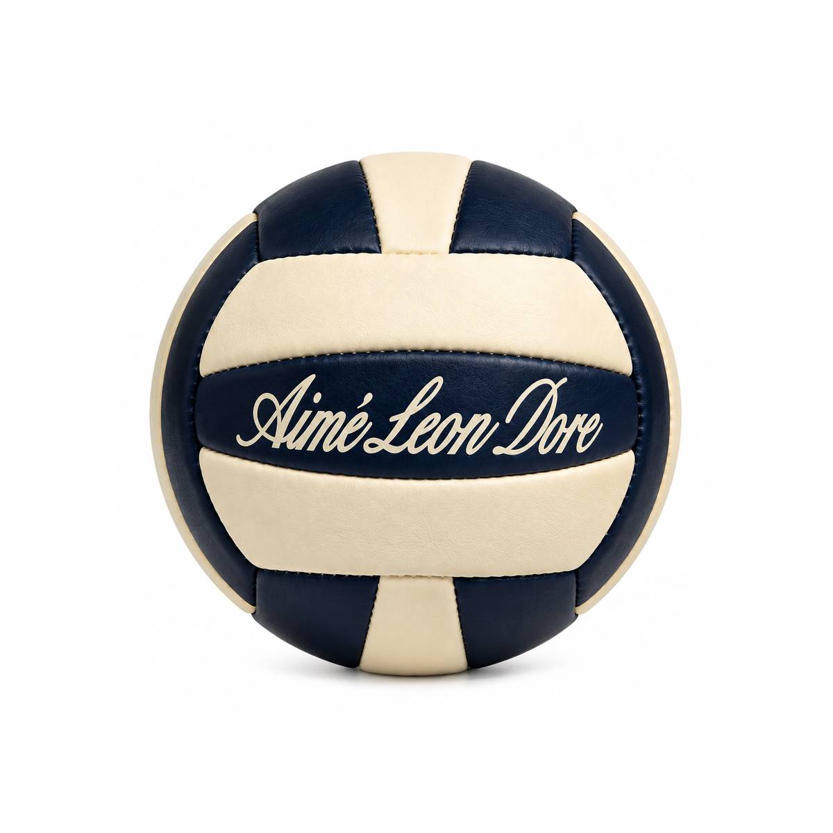 Luxury Leather Volleyball