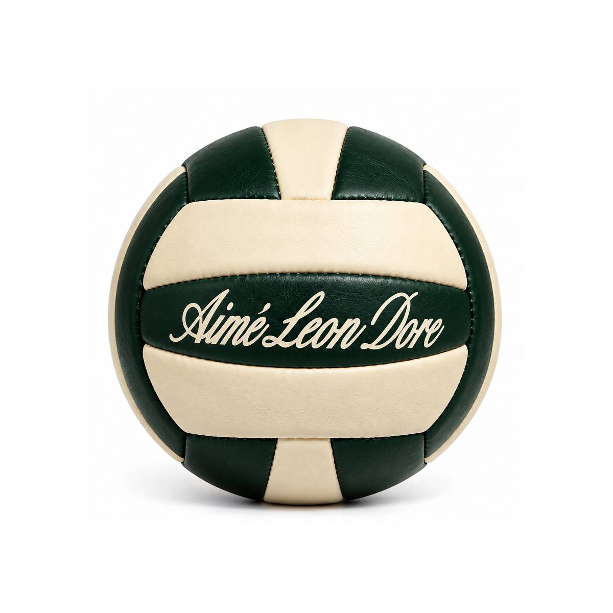 Premium Leather Volleyball