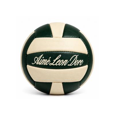 Premium Leather Volleyball