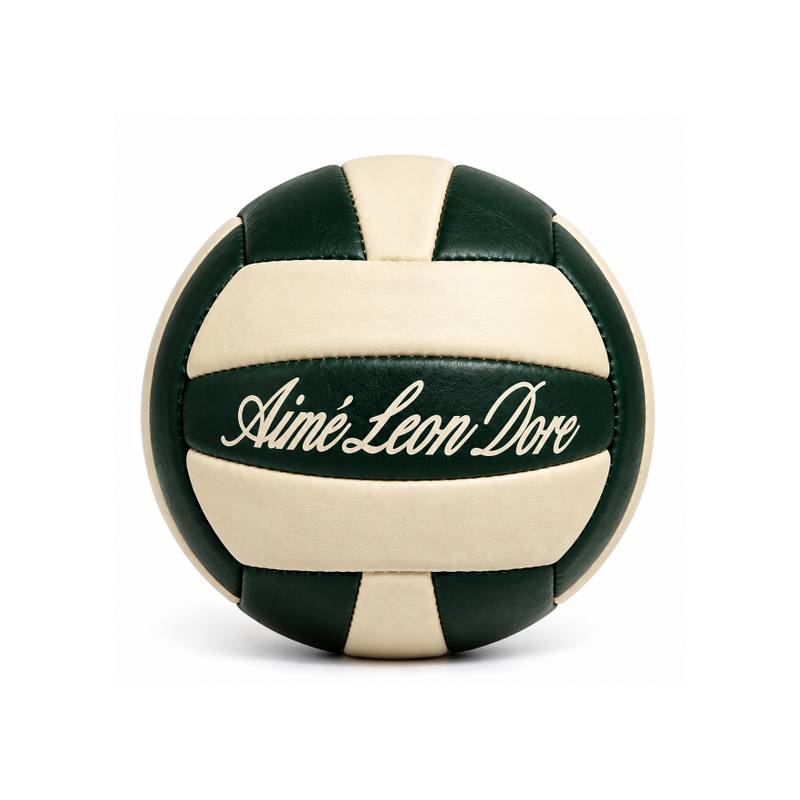 Premium Leather Volleyball
